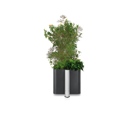 Loco Vaso per piante | Vasi piante | ALL+