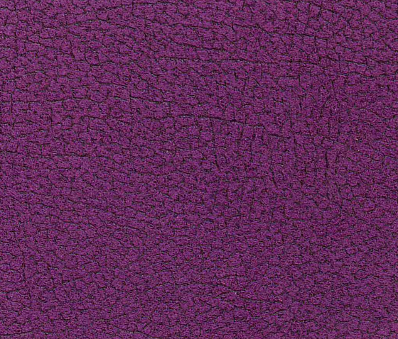 Vinci Cabra 6705 | Upholstery fabrics | Alonso Mercader