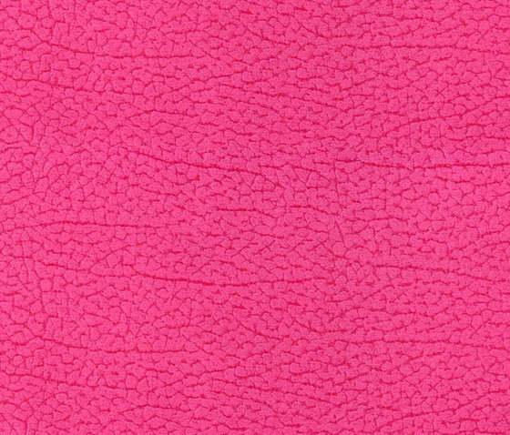 Vinci Cabra 420 | Upholstery fabrics | Alonso Mercader
