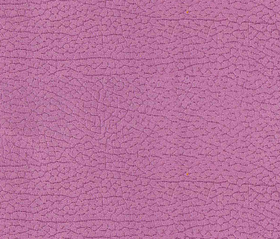 Vinci Cabra 422 | Upholstery fabrics | Alonso Mercader