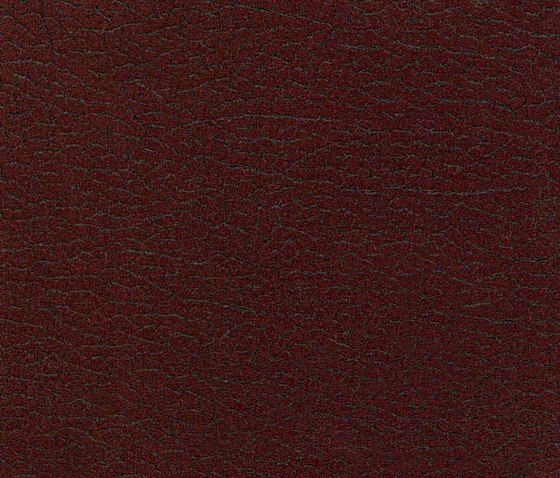 Vinci Cabra 821 | Upholstery fabrics | Alonso Mercader
