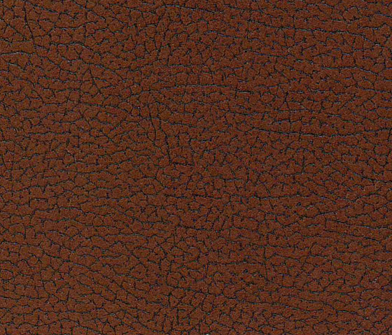 Vinci Cabra 811 | Tejidos tapicerías | Alonso Mercader