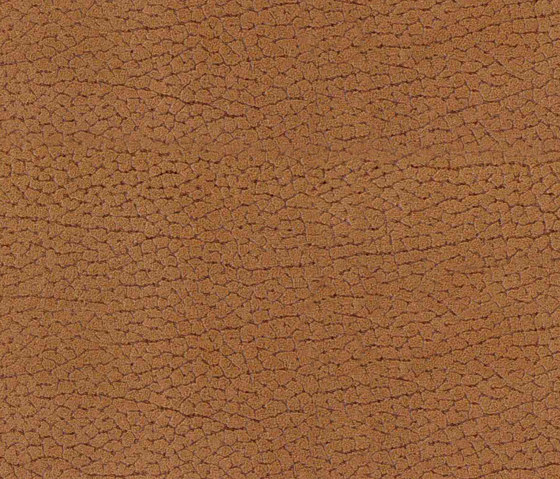 Vinci Cabra 180 | Upholstery fabrics | Alonso Mercader