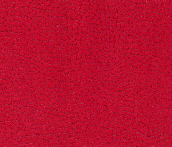 Vinci Cabra 096 | Upholstery fabrics | Alonso Mercader