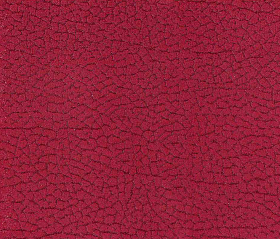 Vinci Cabra 801 | Upholstery fabrics | Alonso Mercader