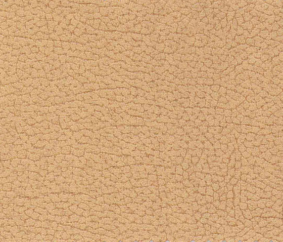 Vinci Cabra 067 | Upholstery fabrics | Alonso Mercader