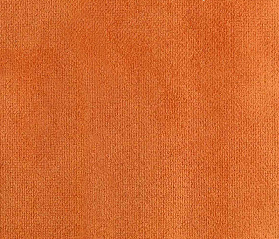 Buccara Velbo 1127 | Upholstery fabrics | Alonso Mercader
