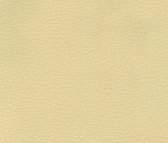 Evolve Zafir 04 | Upholstery fabrics | Alonso Mercader