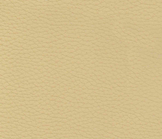 Evolve Zafir 05 | Upholstery fabrics | Alonso Mercader
