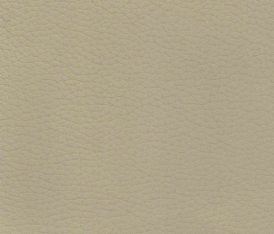 Evolve Zafir 07 | Upholstery fabrics | Alonso Mercader