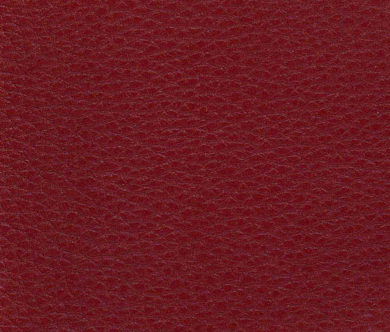 Evolve Zafir 25 | Upholstery fabrics | Alonso Mercader