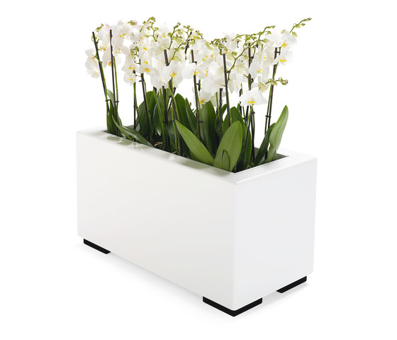 Monolog Table Flower Box | Behälter / Boxen | Materia