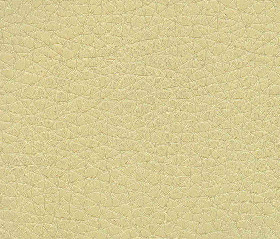 Evolve Grosso 04 | Upholstery fabrics | Alonso Mercader