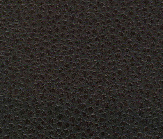 Evolve Grosso 23 | Upholstery fabrics | Alonso Mercader