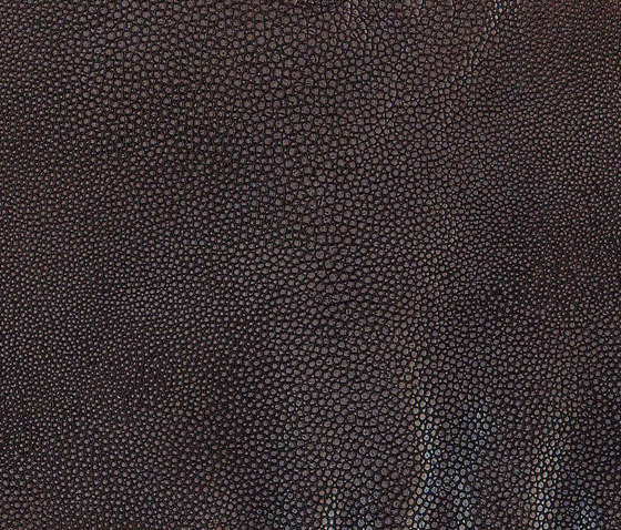 Natural Lorea Beluga brown | Tejidos tapicerías | Alonso Mercader