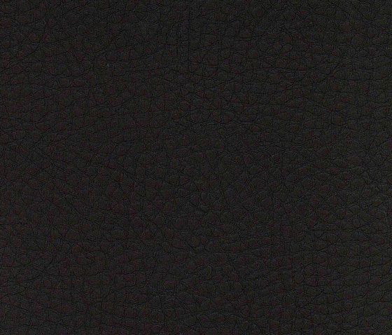 Evolve Napa 23 | Upholstery fabrics | Alonso Mercader