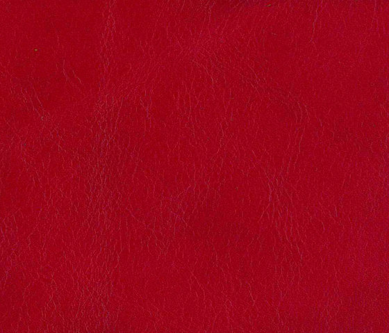 Natural Lorea Retan cranberry | Upholstery fabrics | Alonso Mercader