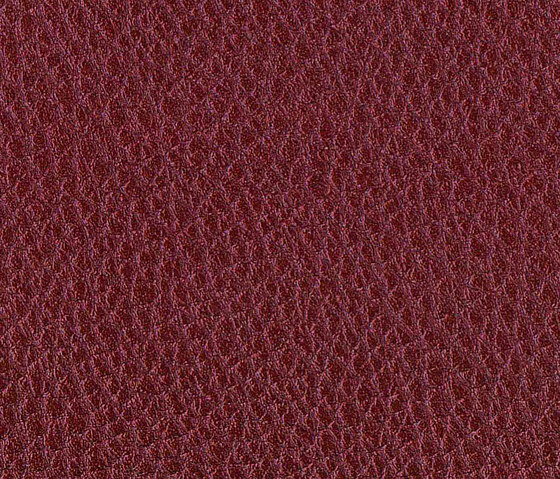 Acualis Vintage 325 | Upholstery fabrics | Alonso Mercader