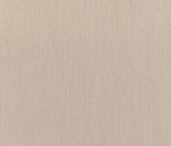 ALPIlignum Oak 10.61 | Piallacci pareti | Alpi