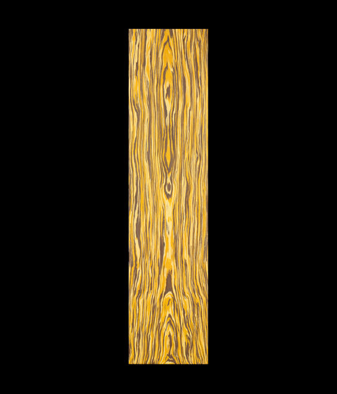 Alpilignum Concept 118425 | Wood veneers | Alpi