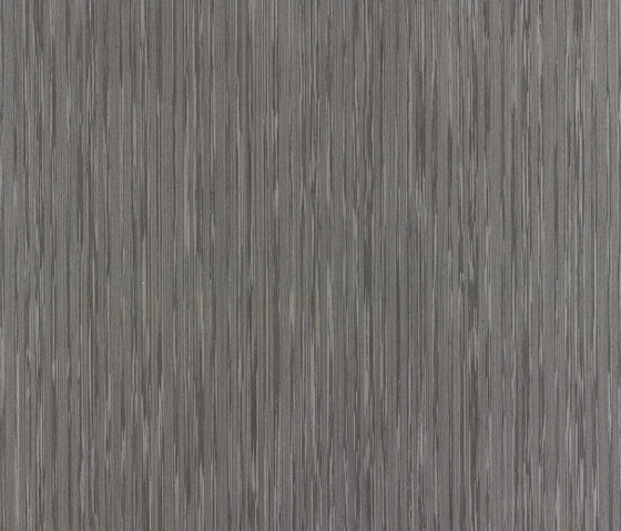 ALPIkord Dark Grey Lati 50.31 | Wall laminates | Alpi