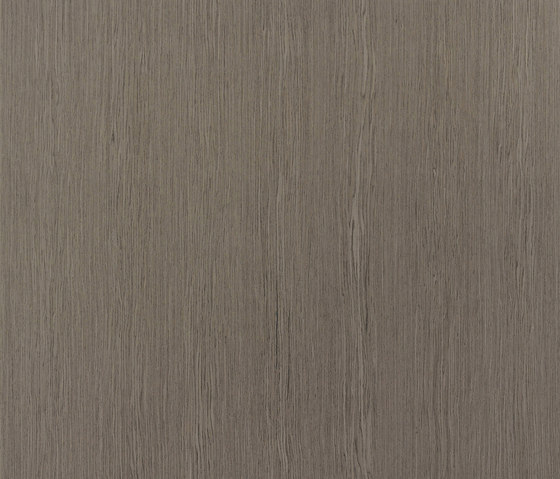 ALPIkord Titanium Oak 50.64 | Wall laminates | Alpi