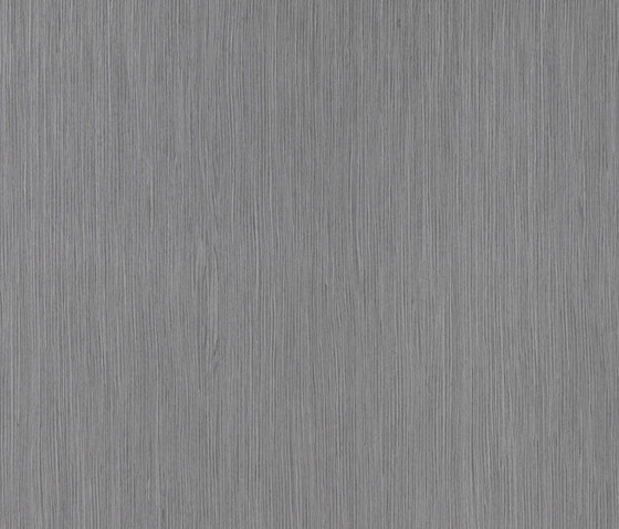ALPIkord Grey Oak 50.65 | Habillage mural stratifié | Alpi