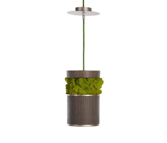 Moss Hanging lamp | Lámparas de suspensión | Verde Profilo