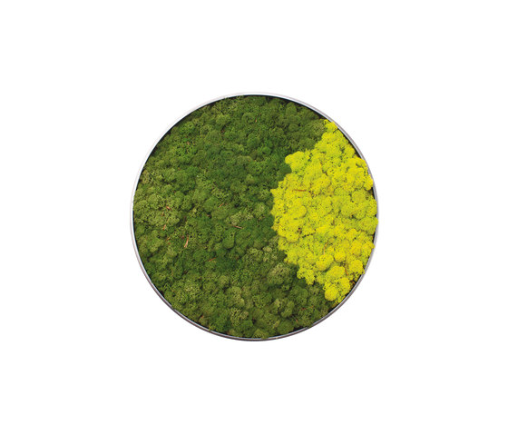 Moss painting C Quadro | Quadri / Murales | Verde Profilo