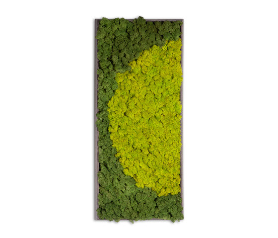 Moss painting R Bild | Wandbilder / Kunst | Verde Profilo