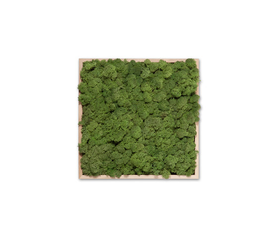 Moss painting S Picture | Wall art / Murals | Verde Profilo
