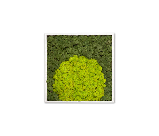 Moss painting S Quadro | Quadri / Murales | Verde Profilo