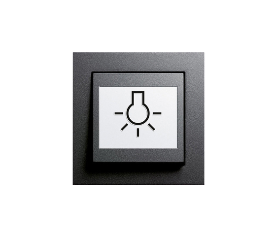 E2 | Schalter abtastbar | Interrupteurs à bouton poussoir | Gira