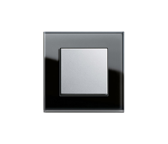 Esprit Glass | Push rocker | Interrupteurs à bouton poussoir | Gira