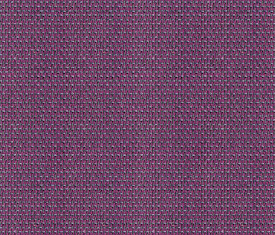 Topolino 300 2 | Upholstery fabrics | Saum & Viebahn
