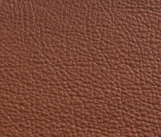 Elmorustical 33286 | Natural leather | Elmo