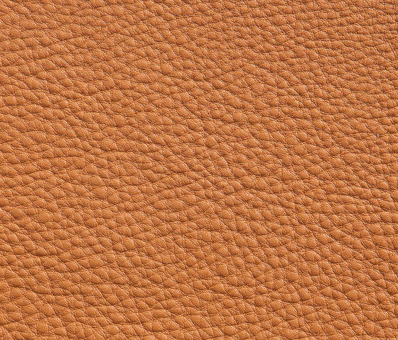 Elmorustical 43236 | Natural leather | Elmo