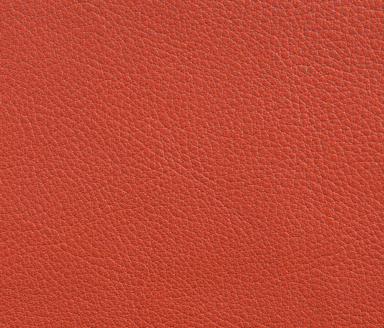 Elmorustical 53014 | Natural leather | Elmo