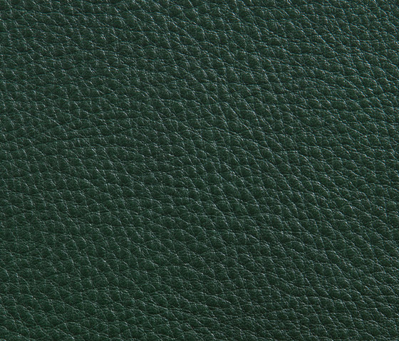 Elmorustical 88010 | Natural leather | Elmo