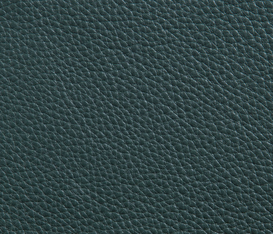 Elmorustical 98953 | Natural leather | Elmo