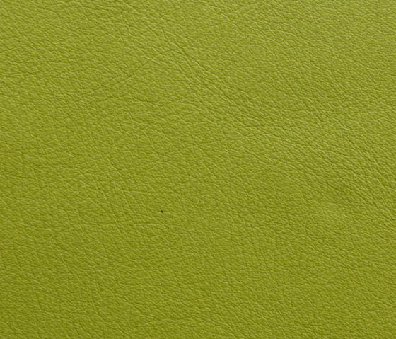 Elmosoft 08017 | Natural leather | Elmo