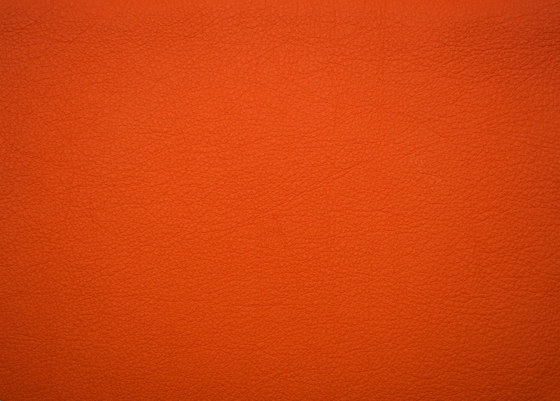 Elmosoft 45065 by Elmo | Natural leather