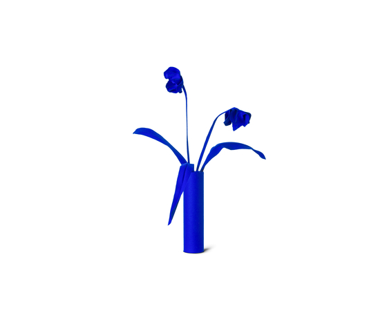 Tulip | Objetos | JAN WILLEM de LAIVE