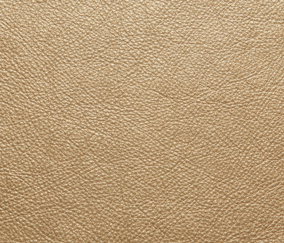 Elmotreasure 04098 | Natural leather | Elmo