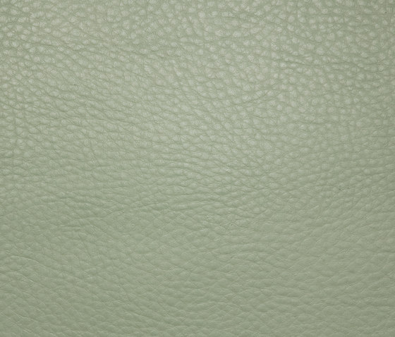 Soto Lightgrey | Upholstery fabrics | Dux International