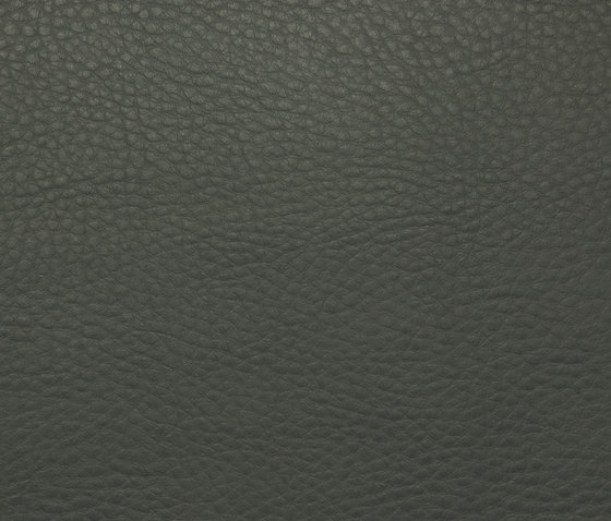 Soto Shark Grey | Upholstery fabrics | Dux International