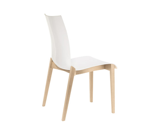 fina wood 6808 | Chairs | Brunner