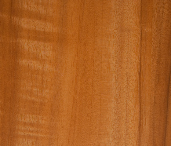 3M™ DI-NOC™ Architectural Finish FW-7010 Fine Wood | Kunststoff Folien | 3M