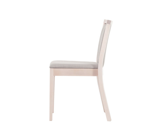 Treviso chair | Sillas | TON A.S.