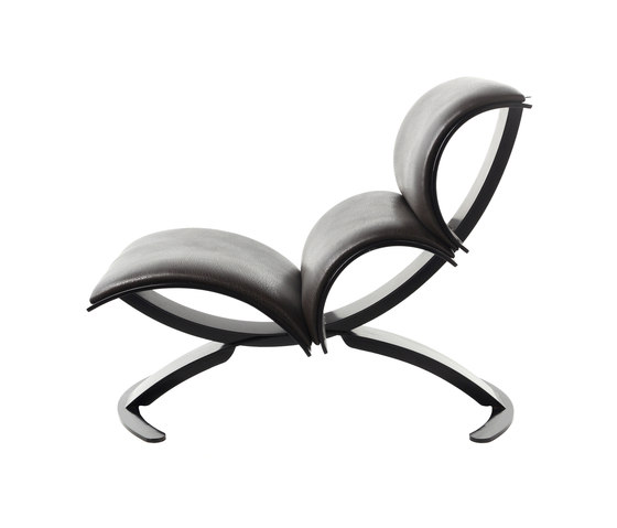 Signorina Chan Chair | Armchairs | Stellar Works